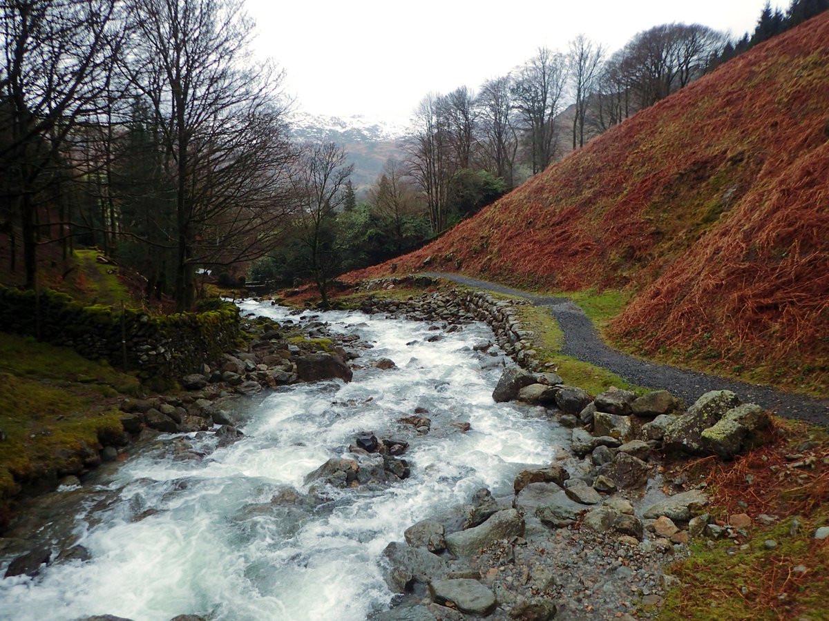 cumbriadotcom's tweet photo. Gushing  Greenhead gill above Grasmere last week.  
https://t.co/cnztA3pSZD

Photographer Alec Mamwell

#cumbriadotcom #grasmere #greengillhead #walking https://t.co/YSr7jEqHNc