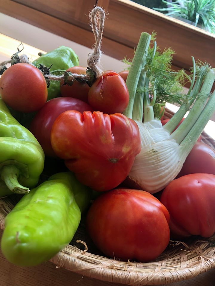 🍏Recordad que una correcta #alimentación es el pilar básico para reducir el riesgo de #enfermedades. Es fundamental mantener en el tiempo una #dietaequilibrada y consumir productos frescos, de #km0 Evitar el consumo de comida procesada y adquirir unos buenos hábitos alimenticios