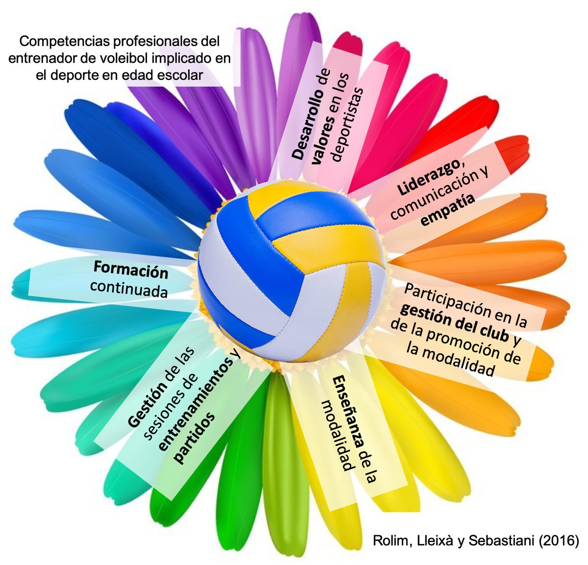 CompetenciasVB's tweet photo. Nos encanta haber identificado la Formación Continuada como una de las competencias que debe tener el entrenador/a de voleibol que trabaja con jóvenes en edad escolar. ¿Como debería ser esa formación continuada? ¿Debería ser obligatoria de alguna manera? #formacioncontinuada 🏐📚 https://t.co/3ttK5iw9wA