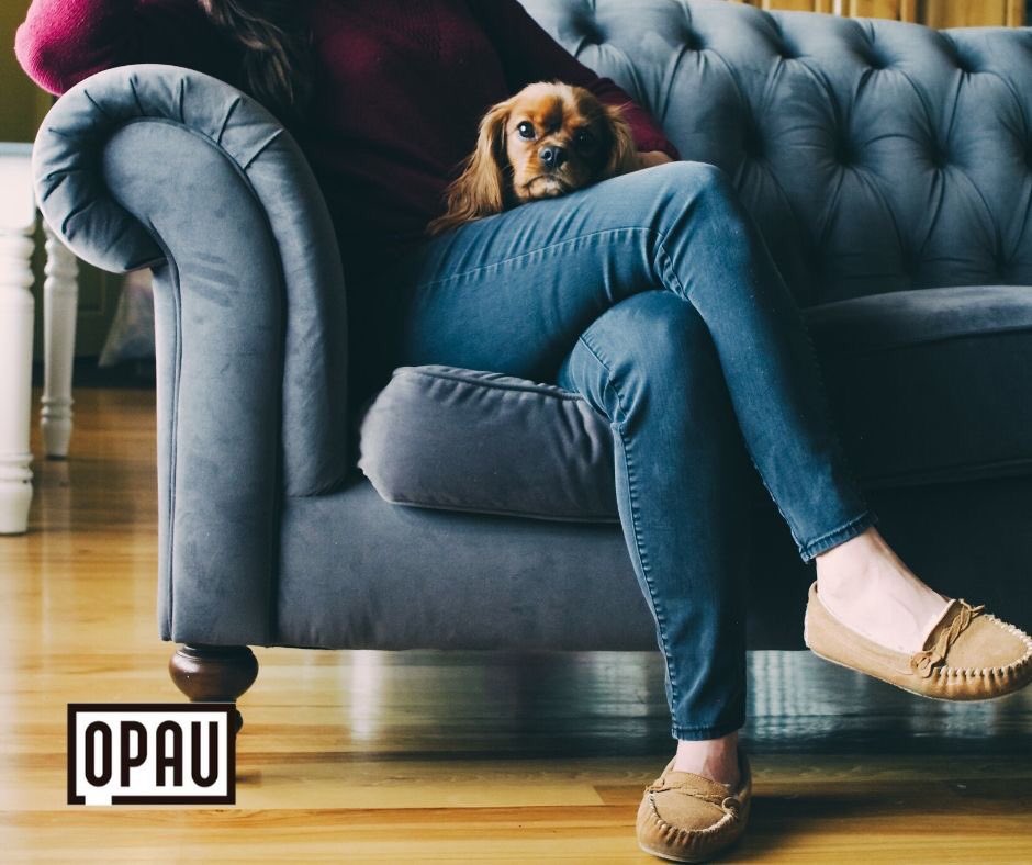 OPAUOFICIAL's tweet photo. 🏡 En OPAU contamos con un gran equipo de profesionales que te ayudará a encontrar la vivienda ideal que estás buscando.

Para que disfrutes de tu hogar sin preocupaciones 💕

Visitanos en: https://t.co/02oLYiVhBk

#Opau #Alquilar #Murcia https://t.co/y5gpXNP8pE