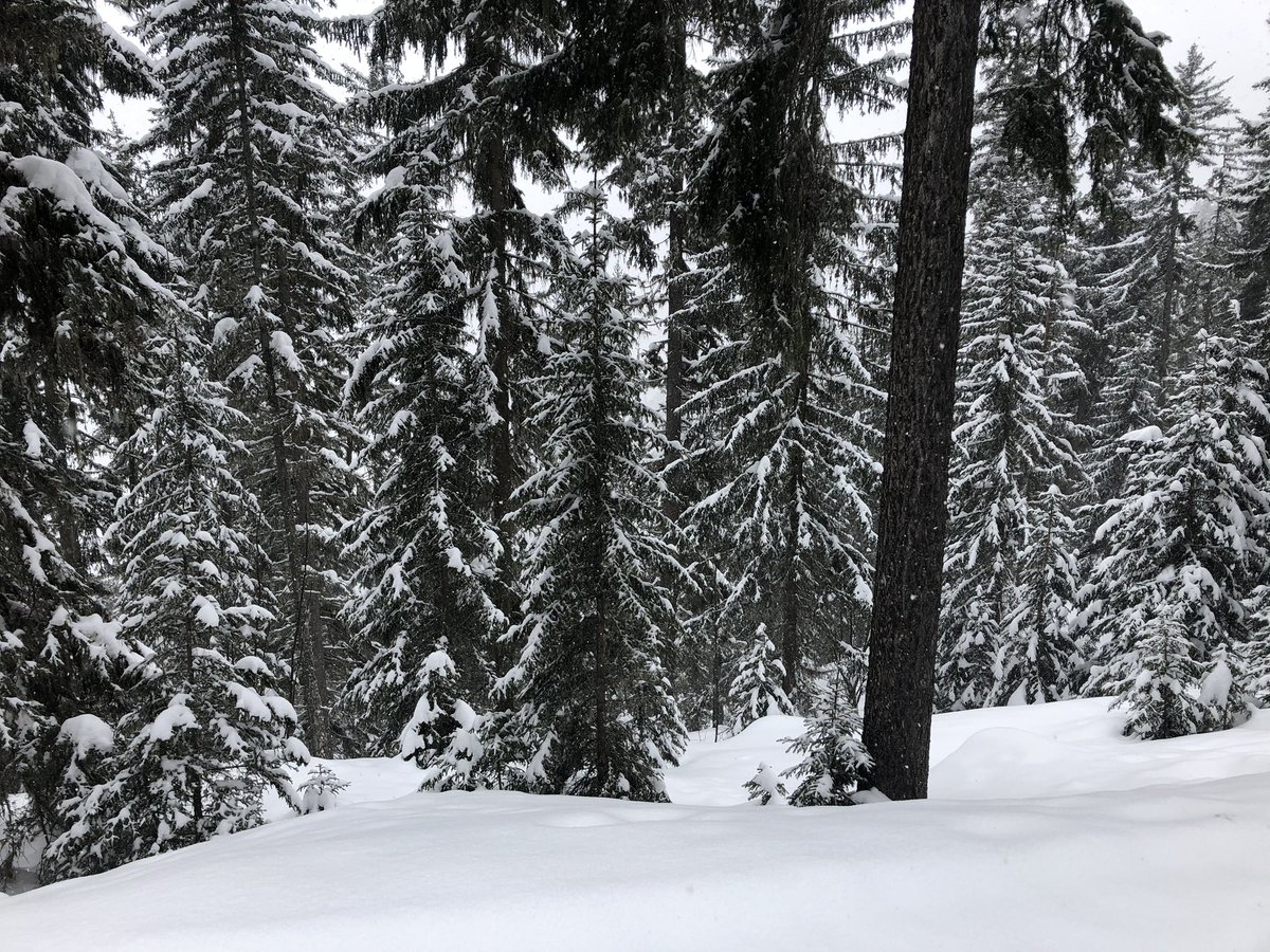 ValeroLucile's tweet photo. De très bonnes vacances ! https://t.co/2dWcOmgqrD