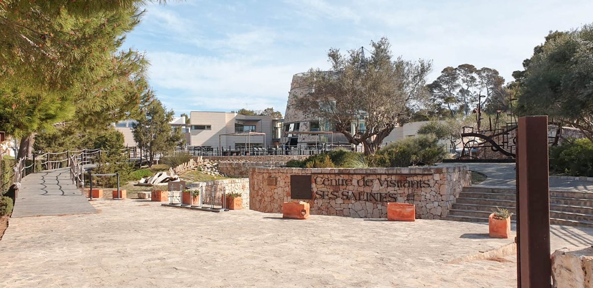 FuturtransSL's tweet photo. It is always a pleasure to visit the Ses Salines Visitor Center.
⠀⠀⠀⠀⠀⠀���⠀
For more info. about the center and its activities, you can visit this post https://t.co/i9EVItSg2y
⠀⠀⠀⠀⠀⠀⠀⠀
Shall you come? 🧡🚍 https://t.co/uMrGiC5Y9Z