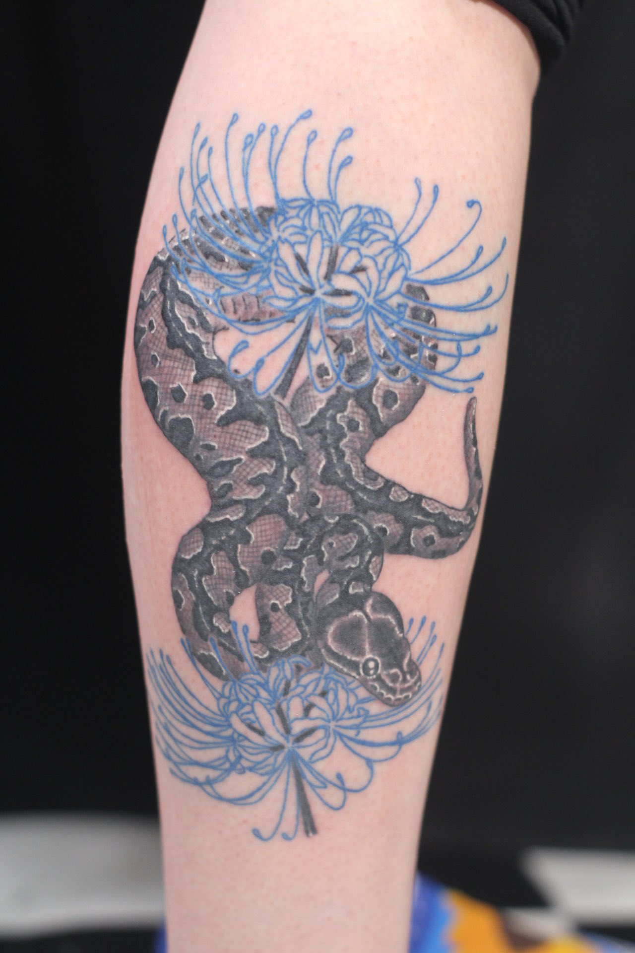 Twitter 上的 刺青師 彫写楽 Tattooist Gappi 青い彼岸花は鬼滅からきてます 次回カラー塗って完成ですね いつもありがとうございまーす 刺青 和彫り タトゥー 蛇 青い彼岸花 鬼滅 Tattoo Wabori Irezumi Tattooist Horisyaraku 彫師 相模原