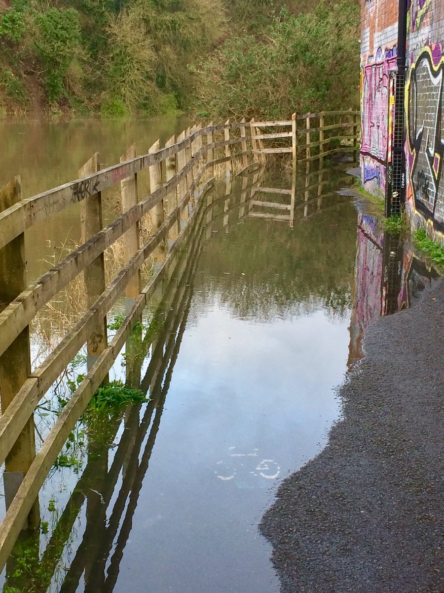 BrisLibDems's tweet photo. Very high tide this morning. Annoyingly, the worst affected part was the section that was recently rebuilt as part of the ill-fated arena island developments near Temple Meads. The daffodils didnโt seem to mind though. #Bristol #SpringTide #RiverAvon #Shitfrastructure #Cycling https://t.co/SIyMXy679e