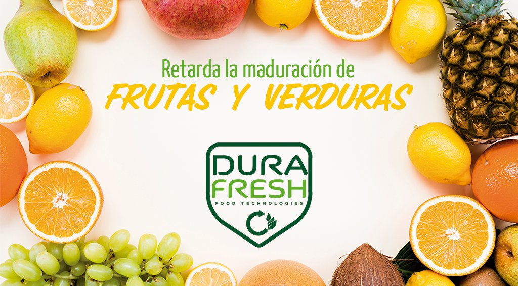 DURAFRESH2's tweet photo. Más sabor 🍍
Sin malos olores 😄
Hasta dos meses frescas en tu nevera 📅

No esperes más y consigue tu #DurafreshFrigorífico 👉https://t.co/408OiwfJTU

#vegan #vegetarian #vidasana #realfood #healthylife #healthy #comidasaludable https://t.co/AxUmC6KfSt