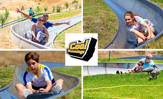 Cool Runnings 
Fly through the twists &amp; curves as you #race along the 1.25 km track. It’s #fun, it’s #fast &amp; it’s #safe! First downhill tobogganing track in Africa
when: Mon-Sun
where: Carl Cronje dr Tygervalley

<a href="/HeartKiddies/">iHeartKiddiesParties</a> <a href="/C_Fourie1/">Christiaan Fourie</a> <a href="/s_lingenfelder/">missdirection</a>
ow.ly/SCP950yIApp