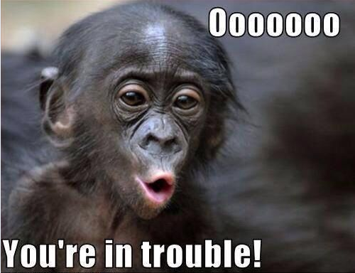 Just For Fun  
Please Do follow Our Page.

#dailymeme
#funnyposts
#POTUS
#PerfectParodyGagGift
#JustForFun