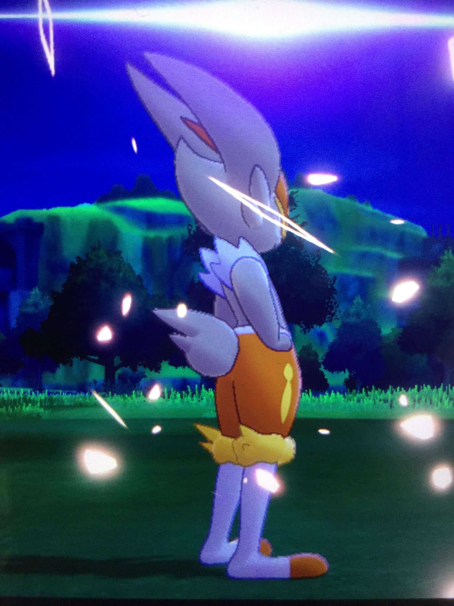 تويتر リーク على تويتر ポケモン配布企画 色違いひし形エースバーン 参加方法フォロー Rt エースバーンへの愛を込めたリプ 俺がレートで使った痕跡としてレベル100 Amp 王冠使用済み 育成済みですm M参加待ってます ポケモン色違い ポケモン剣盾