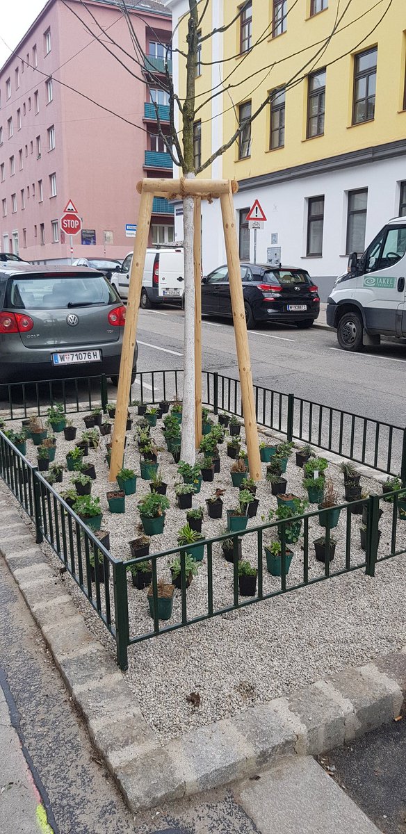 Starofbastian's tweet photo. Danke an die @Stadt_Wien und der #ma42, dass ihr gerade unsere Theresiengasse verschönert! https://t.co/IepULWRJmW