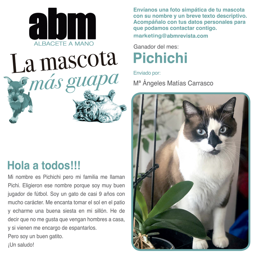 🎁GANADOR CONCURSO: LA MASCOTA MÁS GUAPA🎁
☝️Ya tenemos ganador de nuestro concurso: La Mascota más guapa, de la revista del mes de marzo 🐱
Os presentamos a Pichichi, Pichi para los amigos. ➡️¡Desde ABM, queremos felicitar a Pichichi por ser el ganador del concurso!⬅️
¡Anímate!