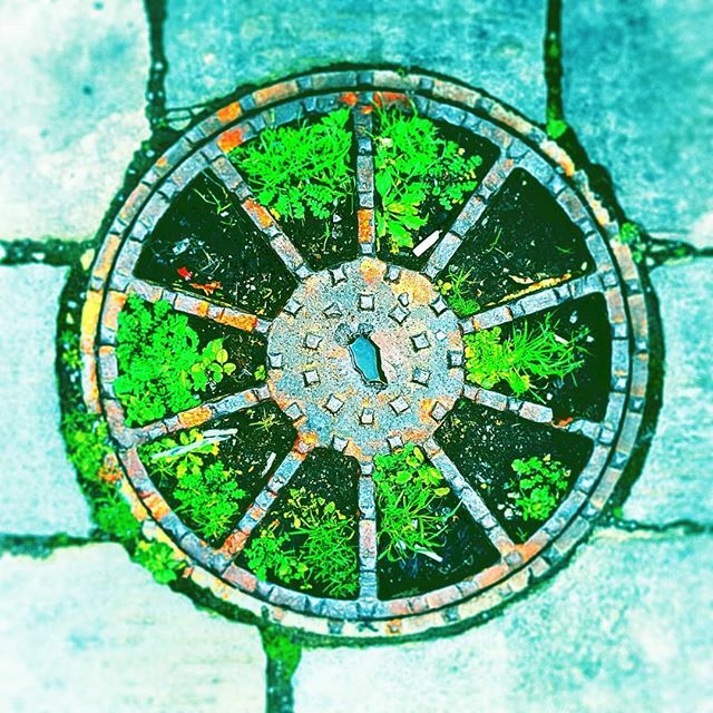 alswainger's tweet photo. Division
#pointlessbeauty #collectivelycreate #easilydistracted #filters #filterfreak #mindwandering #phonephotos #scifi #imaginaryplaces #mindfulness #abstractart #abstract #freeimprovisation #improvisation #improvisedart #glitch #glitchart #digitalart… https://t.co/maGpgF7qei https://t.co/ch7BmhcnnD