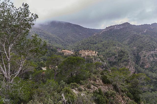 robertmonllau's tweet photo. #terresdelebre #baixebre #serradecardo #benifallet #catalunyanatura #somebre #igersebre #canal21ebre #raconsde_terresdelebre #natura_catalunya #catalunya_alnatural #nikon_te #socnikon  #raconsde_tarragona #paisatges_de_catalunya #ok_catalunya #ig_tarrago… https://t.co/RG1yAUNwZH https://t.co/Ycx8Rxd9e0