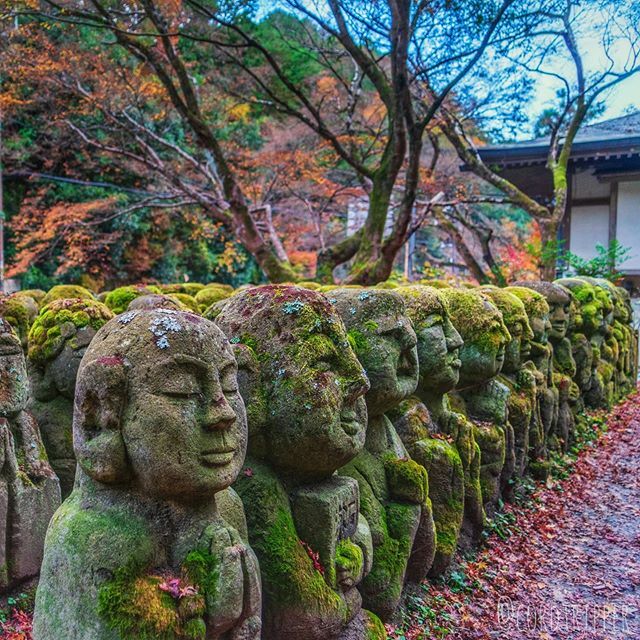 cordtripper's tweet photo. The Otagi Nenbutsu-Ji temple in Arashiyama is covered with hundreds of sculpted Buddha statues..
....
....
....
....
#post804 #cordtripper #asia #japan #arashiyama #landscape #hiking #buddhist #buddha #otagi #nature #scenic #traveling #travelcontent #travelphotography #stamp… https://t.co/5H02EFDqbR
