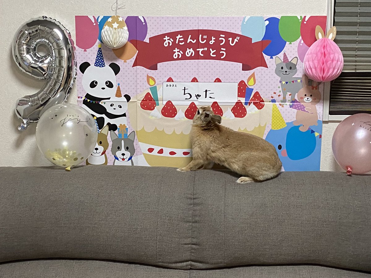 ちゃたうた tweet media