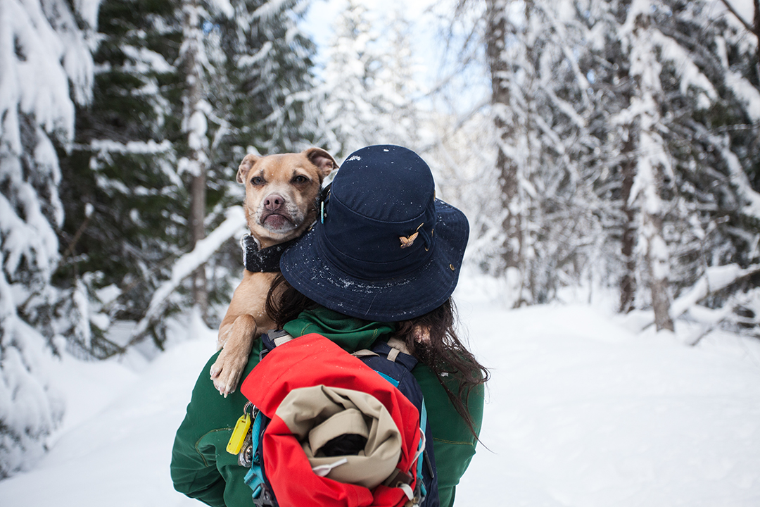 Connect with your family and friends at Whistler Olympic Park. Every Wednesday night enjoy 50% off cross country skiing and snowshoeing in the beautiful Callaghan Valley just South of Whistler!

Some of the trails are even dog-friendly 🐶

#Whistler #ExploreWhistler #GoOutside