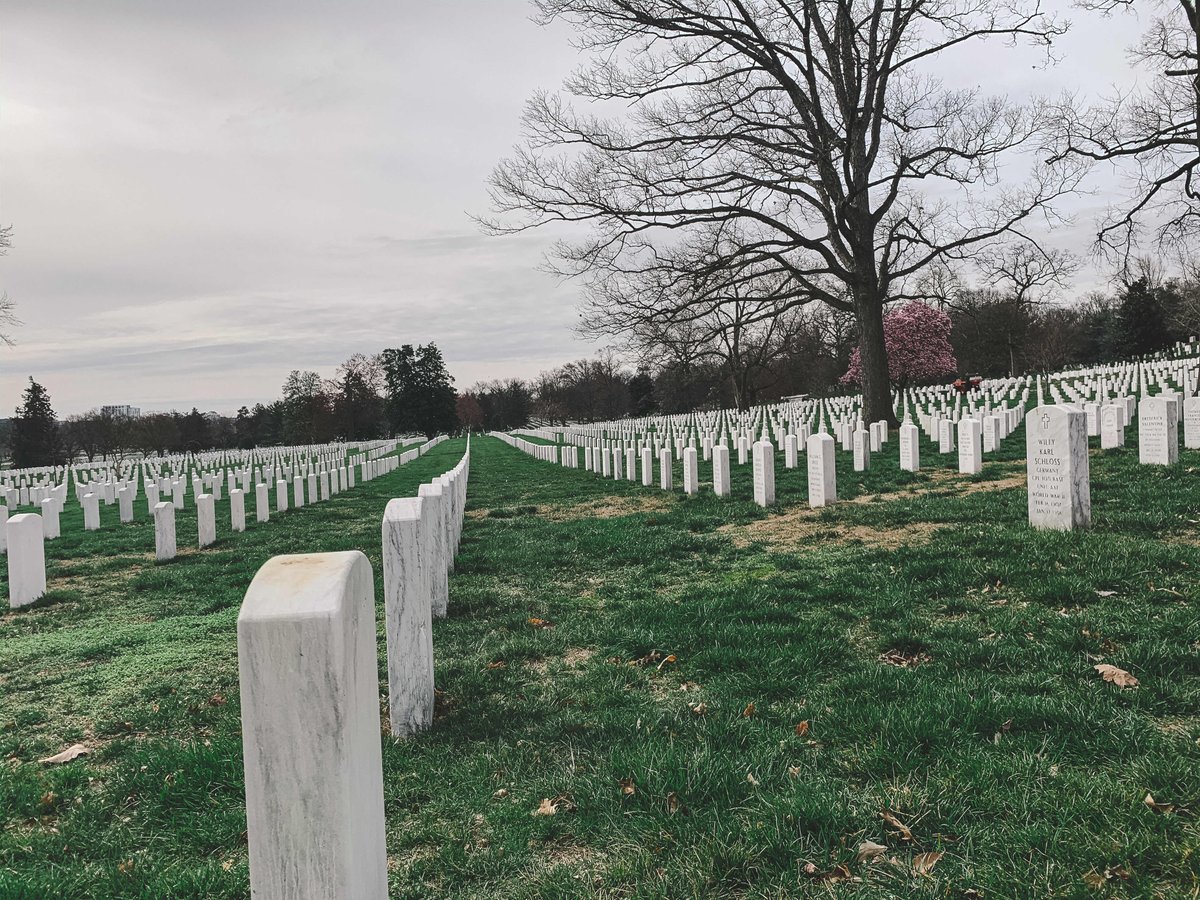 BradleyBand's tweet photo. Over 7,000 are buried here and thousands more across the country. We are thankful for their service and sacrifice. #BC2DC https://t.co/Axirf6dKhD