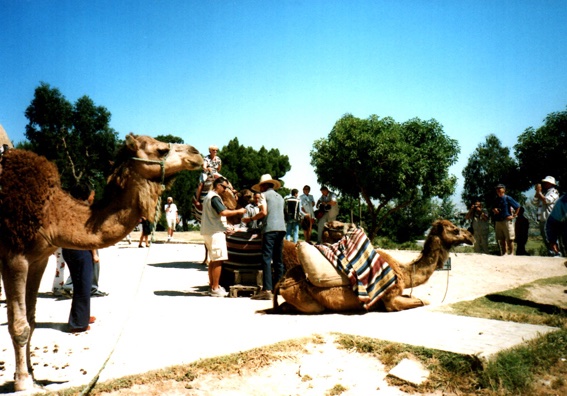 CarolineMills99's tweet photo. @BaileyofBristol @Media_CAMC @SYMotorUK @myoddballs @PRIMAleisure @CaravanTimes Re-living when I took the children to #Morocco in a #motorhome 17yrs ago - so long ago, the photos had to be taken to a shop to be printed back then (and before one child was even born). #beforedigital #familytravel #MakingMemories #motorhomelife #adventure https://t.co/2WgjesdDfq
