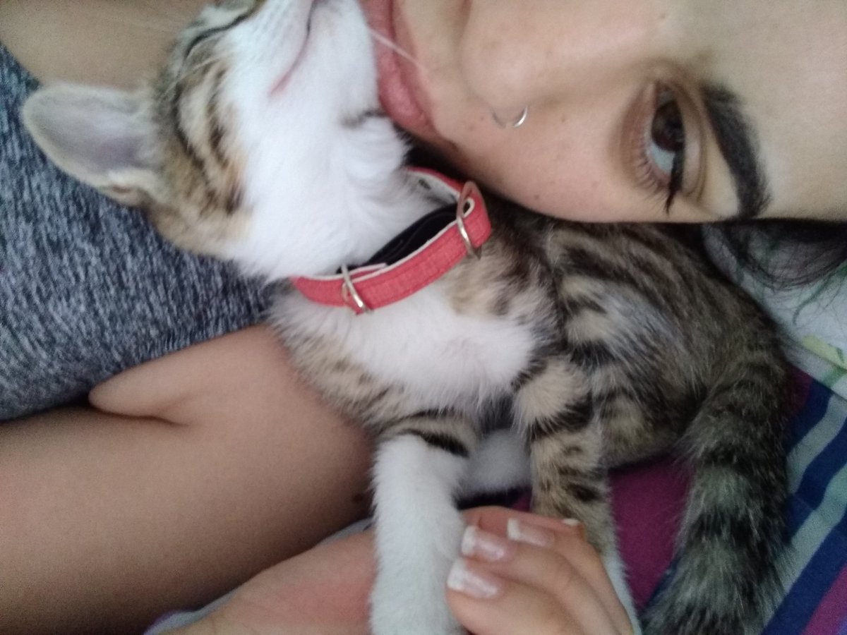 stefaniaalmendr's tweet photo. Ipa😻 

Amo si intensidadd https://t.co/IGlG5oo2e4