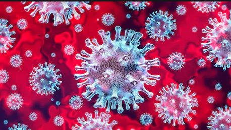 Des cliniques spécialisées de dépistage du nouveau #coronavirus (COVID-19) ont été mises sur pied dans huit hôpitaux de la province : ici.radio-canada.ca/nouvelle/16570… (article d'<a href="/iciacadie/">Radio-Canada Acadie</a>)