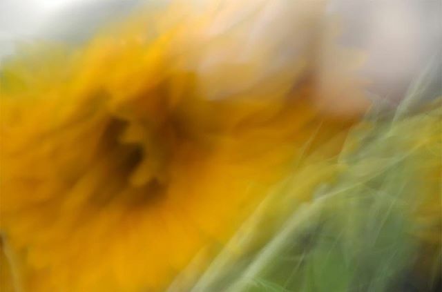 G44Members's tweet photo. From last year's Spectra CONTACT. Bahar Toussi @bahartus - Scattered Memories 2018

#artphotography #photographyexhibition #contact2019 #g44members #contemporaryart https://t.co/T3YG0B96XS