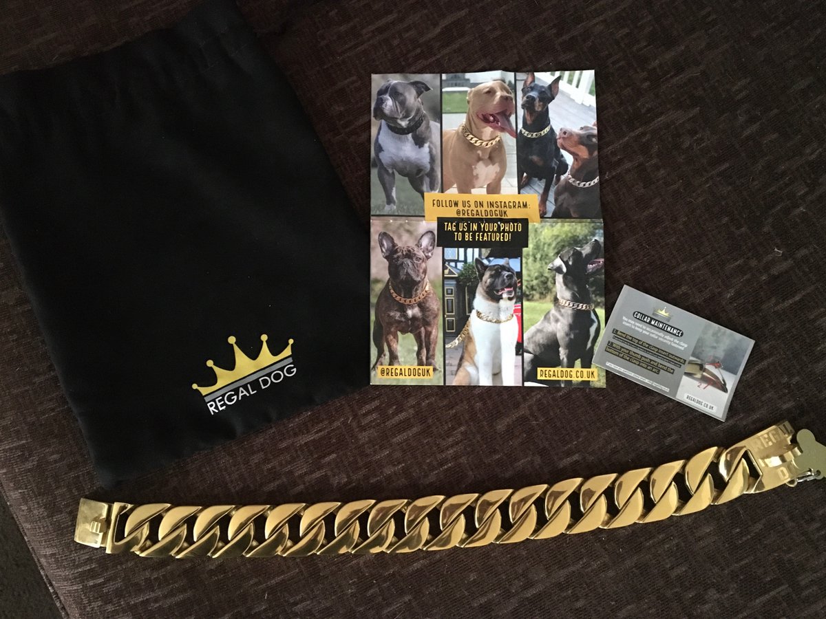 UKDobermans's tweet photo. Many thanks to @RegalDogUK
for this lovely collar - it even came in it’s own https://t.co/hdELRvBKI1 bag! We will be putting it straight on the newest member of the https://t.co/4dd36vOMvS gang...

INTRODUCING THE ABSOLUTELY ADORABLE... https://t.co/OmzgcUDU4j