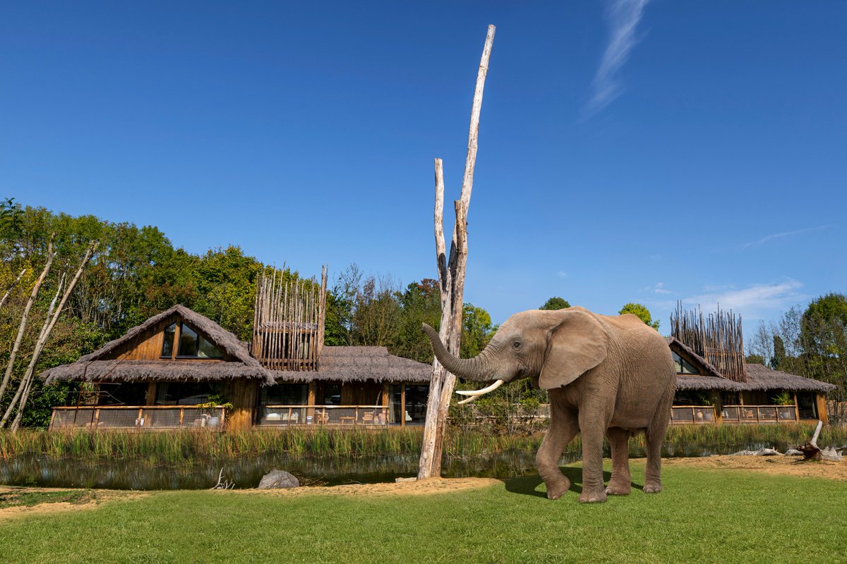 Safari Lodges! 🐘

Very exciting times for @westmidsafari

Sign up to the email list for all the latest updates -  wmsp.co.uk/lodges/

#WorcestershireHour