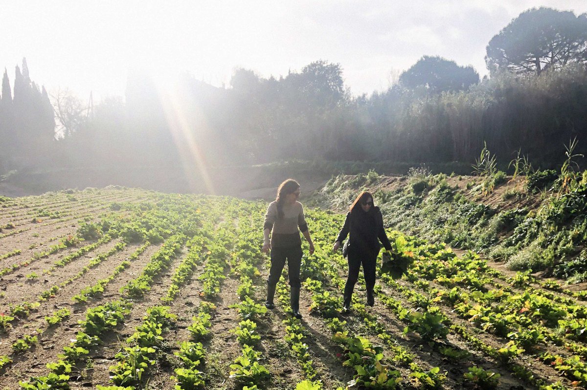 CITmagazine's tweet photo. Case study: Farm-to-table food experience in Barcelona - https://t.co/N87CJdw6ep https://t.co/PnNHAEe4zJ