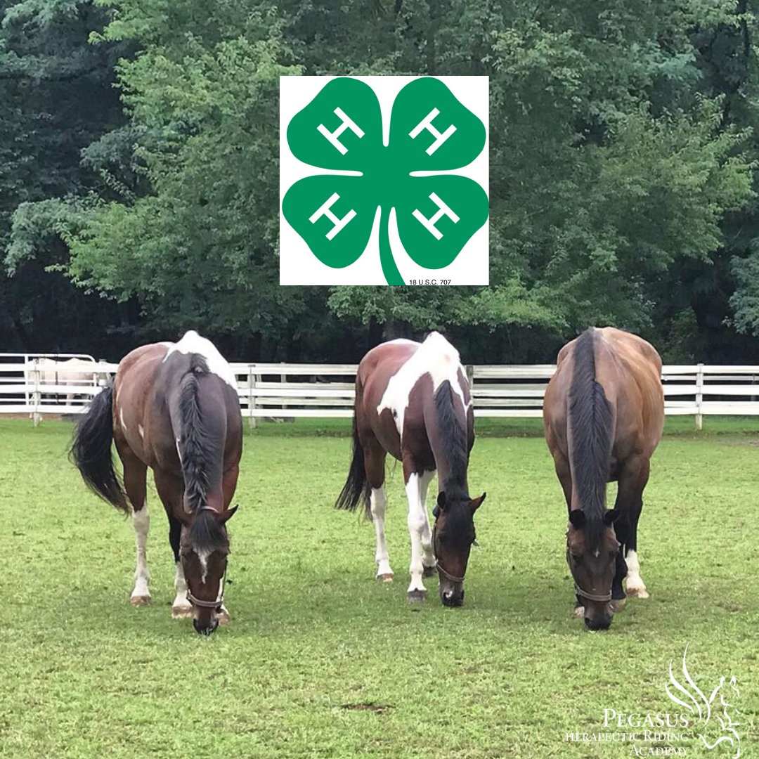 Pegasus 4-H Club meets this Saturday 3 - 4:30pm. We're open to all interested in learning about horses &amp; we've got a great meeting planned! RSVP to Teresa@PegasusPhilly.org for this weeks meeting. Looking forward to seeing everyone!
#4h4All #philadelphia