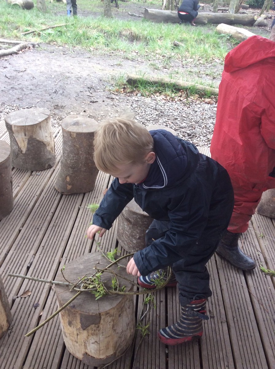 AshKnotty's tweet photo. A lovely morning at Forest School today. The children enjoyed bending and weaving willow to make some fishy friends.
#ForestSchoolFun
#GrossMotor
#FineMotor
#ChattingTogether https://t.co/WypPD4P97P
