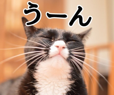 Ffrk限界突破速報 Ffrk Genkai2 Twitter