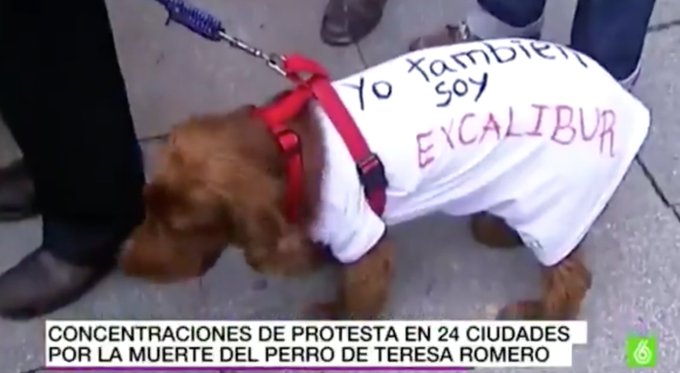ES16DYsXsAAJA6z