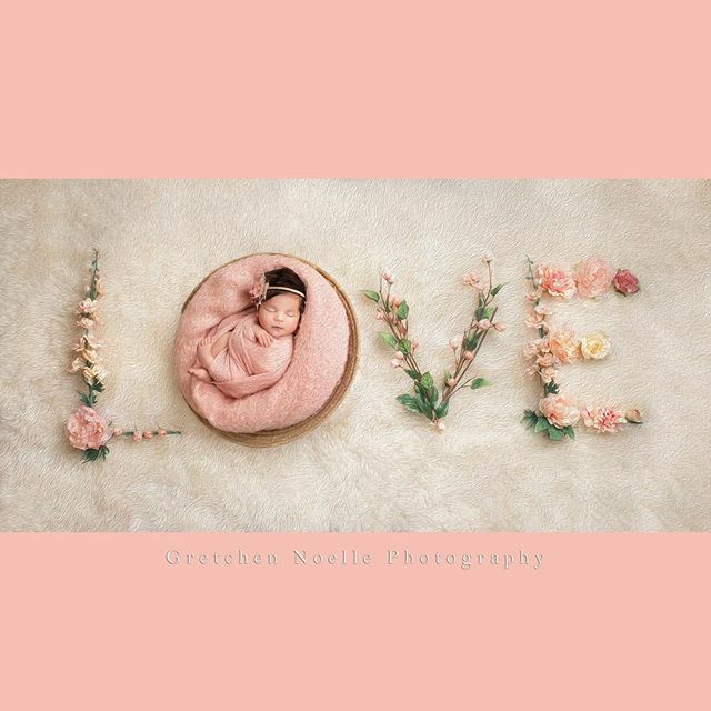 PhotosByGretch's tweet photo. I LOVE how this one turned out of beautiful Vasi! #bts in my stories.  #babylove💗 #flowerletters🌸 #metrodetroitphotographer #metrodetroitnewbornphotographer #fineartnewbornphotography #customphotography #babygirl #paintedportraits @kalianamelistas https://t.co/FVD2Ue12Zv https://t.co/lXQrBlnpgd