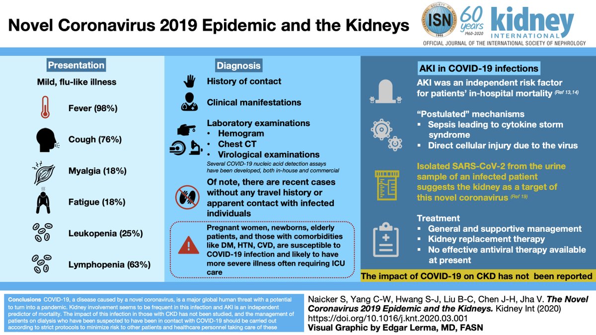 The Novel Coronavirus 2019 Epidemic and the Kidneys ca. 2020 from <a href="/Kidney_Int/">Kidney International</a> <a href="/vjha126/">Vivekanand Jha | विवेकानन्द झा</a> 
#nCoV19 #nCoV2019 #COVID2019 #COVID19 
doi.org/10.1016/j.kint…
