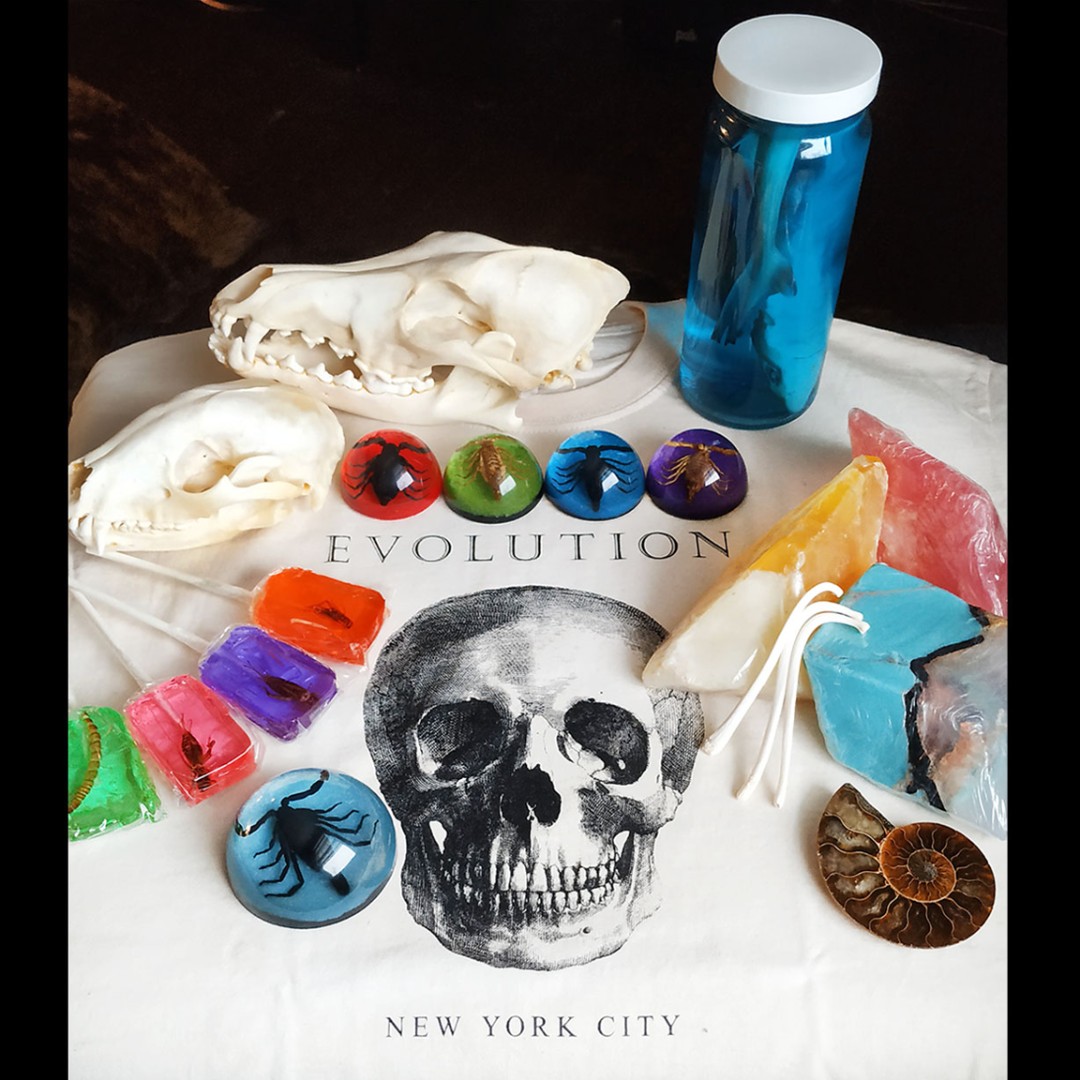 TheEvolutionNYC's tweet photo. Democracy in action is a beautiful thing! ๐ฝ๐ฝ๐ฝ Here are the items that pulled ahead of the pack and distinguished themselves as YOUR favorite gifts! #letthepeoplechoose #theevolutionstore
https://t.co/7c01QnpeDh https://t.co/9WZr4dD60p