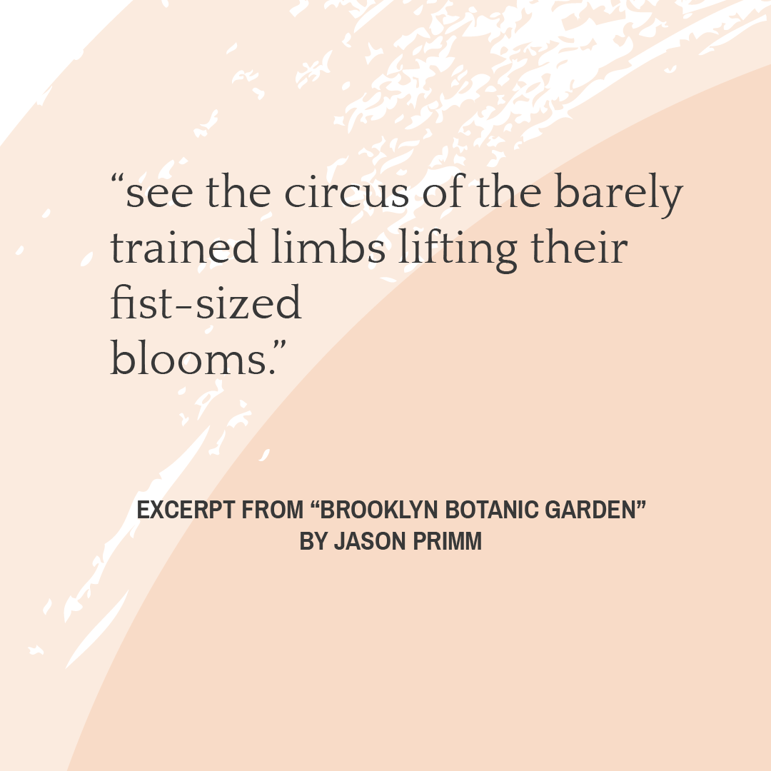 MaynardPoetry's tweet photo. In Jason Primm’s “Brooklyn Botanic Garden,” visitors and flowers mingle with the narrator’s thoughts on an “old problem.” From our Fall 2014 issue: https://t.co/Ur7VNRYoXD
#poetry #readpoetry #TheMaynard #TMarchive #TMWeeklyTheme #TMFall2014 https://t.co/WJ8FcaETz6