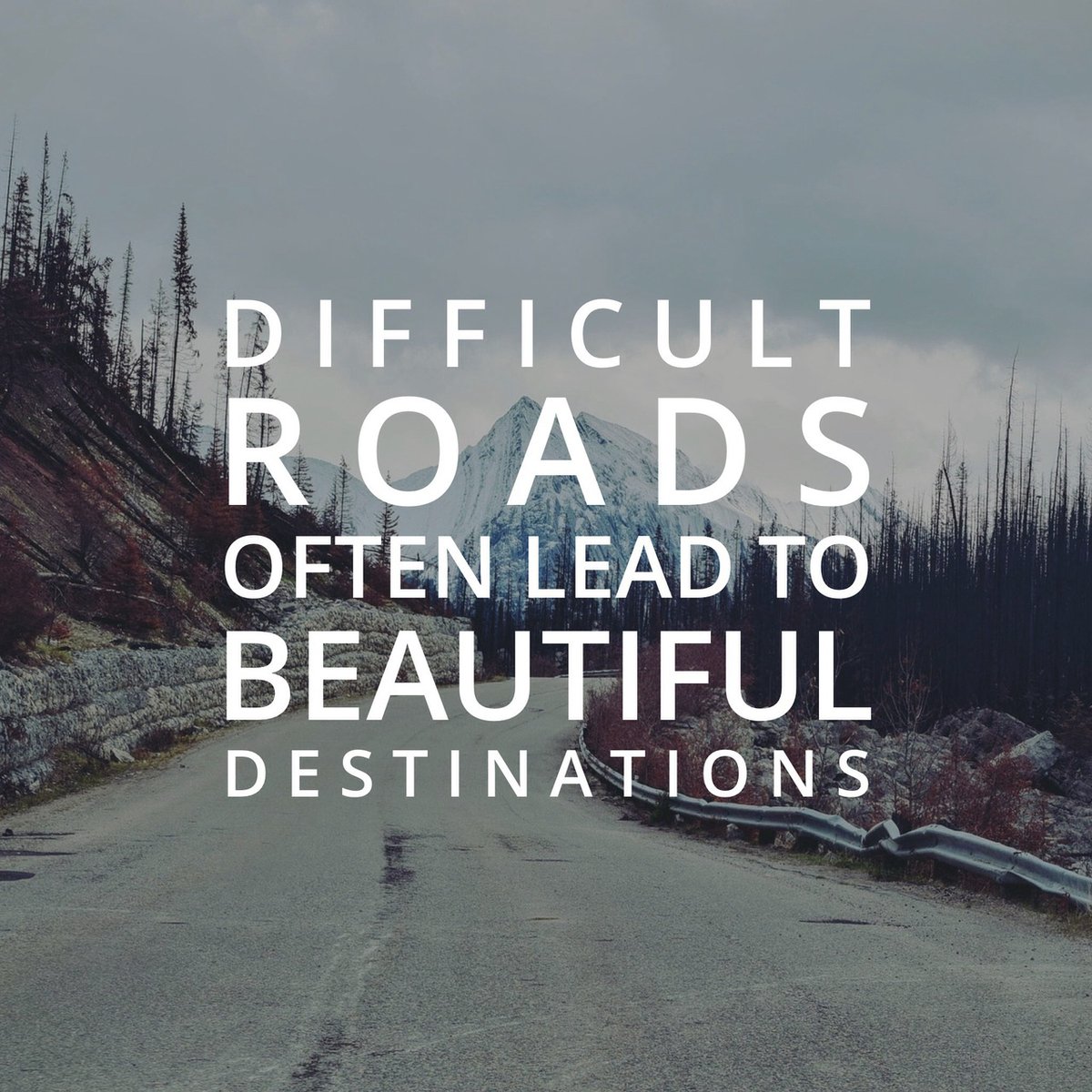 IamJimBlake's tweet image. Most everything that emerges on our journey is something coming forth to be healed. When we can recognize our challenges as something to be healed, it can be easier to find a way through them (path to healing). Be well, my friends. Namaste.
#wellness #healing #Bewell