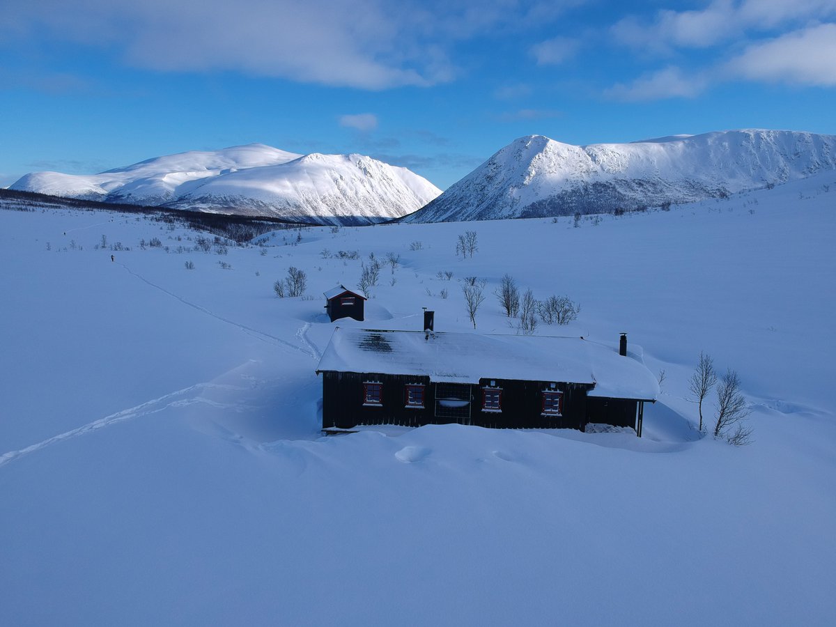 Tromso Outdoor tweet media