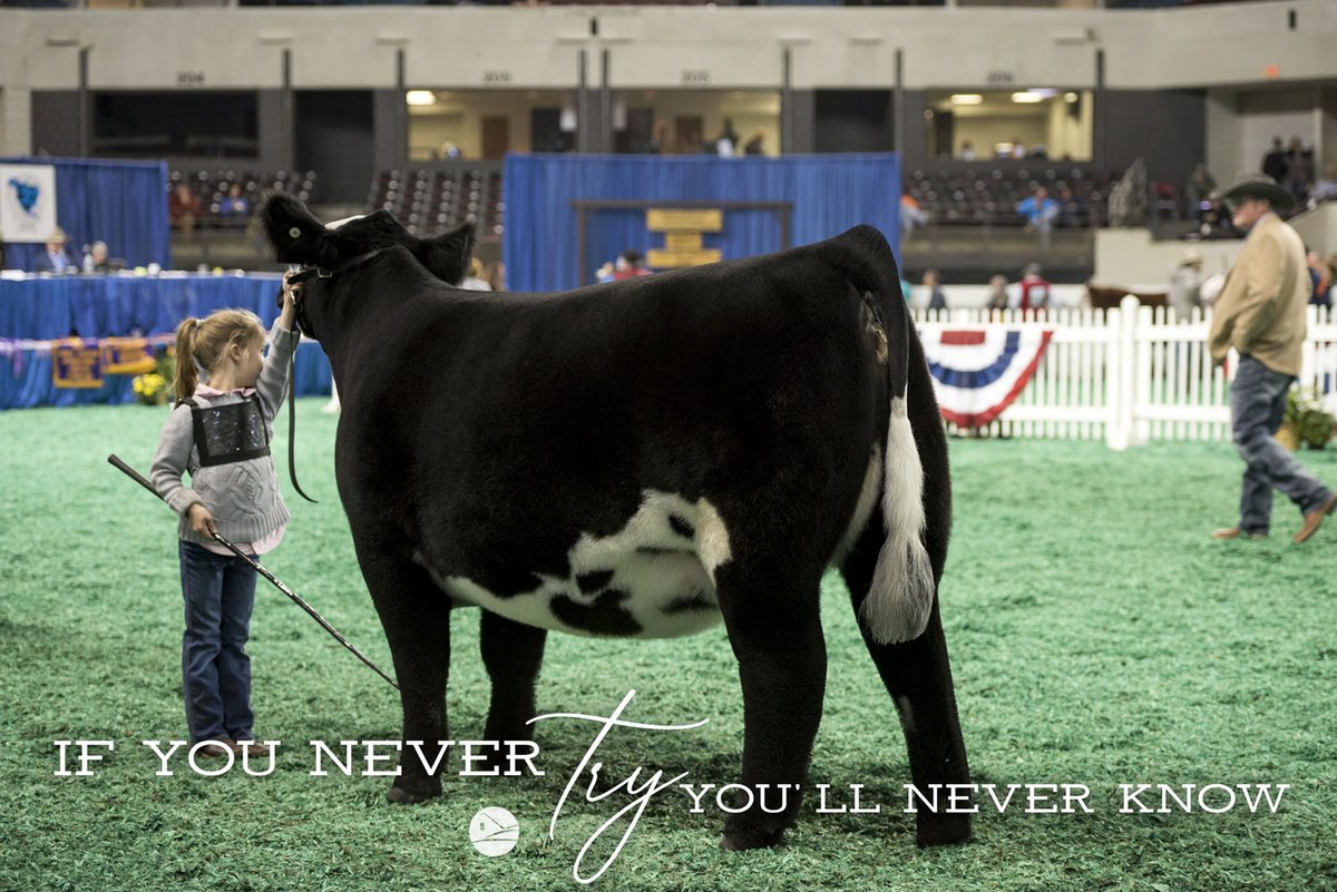 What do your dreams look like?

#ranchhousedesigns
#FridayMotivation 
#stockshowlife
#cattletales