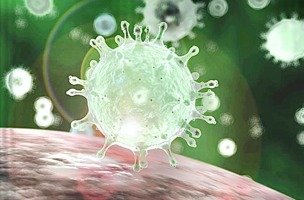 BprimeHealth's tweet photo. Our best defense right now is a STRONG immune system. 👊🏻 #FightTheVirus https://t.co/VLUqegrePt