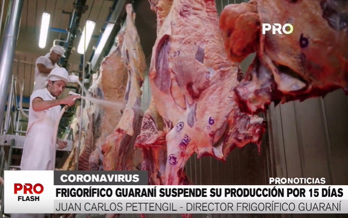 canalpropy's tweet photo. "Estamos priorizando la salud de nuestros más de 1.000 funcionarios, suspendemos la faena a partir del martes de la semana que viene y volveríamos a faenar al reinicio de las clases”, Juan Carlos Pettengill, Director del Frigorífico Guaraní #PROFLASH https://t.co/qn2zTWn1V6