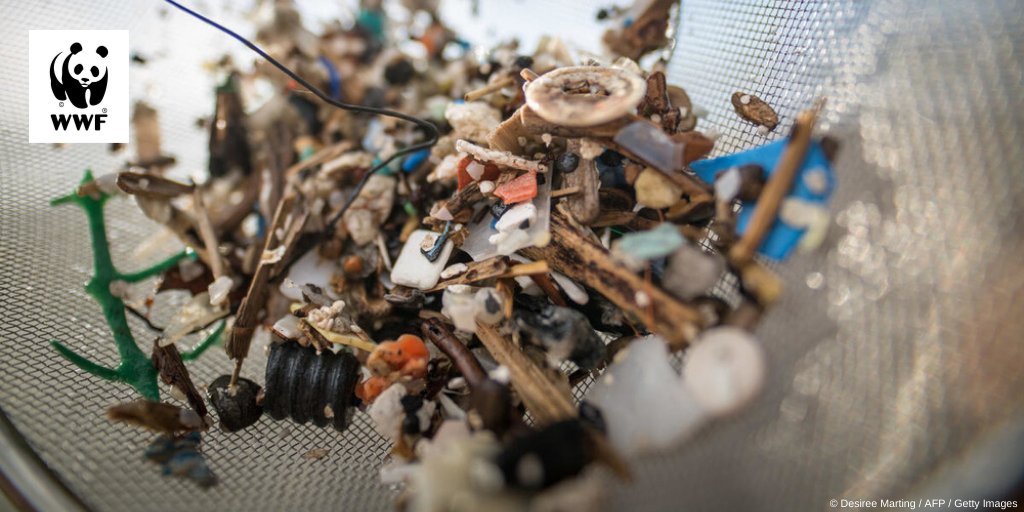 WWFEU's tweet photo. BREAKING📢 Based on #CircularEconomyActionPlan launched today, EU will take leading role for a global agreement to #StopPlasticPollution. Europe joins Africa, Caribbean, Nordics and others in the call for global action on plastic pollution. Add your voice: https://t.co/9Vf8LeNFeT https://t.co/2lkjuahyd9
