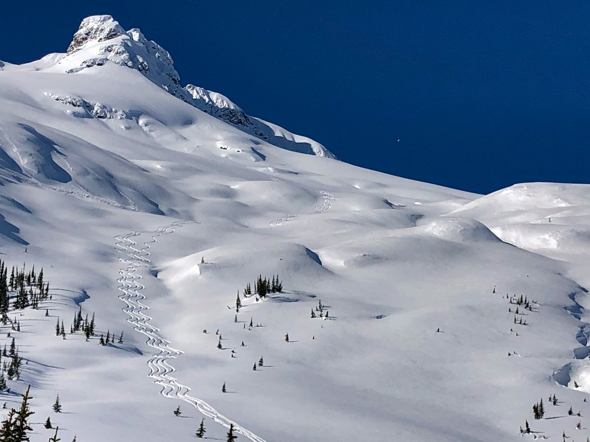 LastFrontHeli's tweet photo. March is here and the snow keeps piling up. | ๐Current Conditions: https://t.co/k9ffHqkITp | #heliski #heliskiBC #heliskiing #MarchPowder | ๐ท Andre Ike & Reto Sterchi https://t.co/GCdn6HD18o