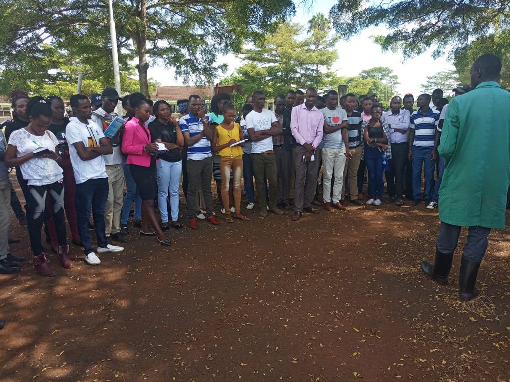 On going training for Chuka University, Meru Agriculture Education and Extension 4th students.
<a href="/kalromkulima/">KALRO</a> <a href="/ChukaUni/">info chukauni</a> <a href="/fnguthi/">Faith Nguthi</a> @KazaliwaJ