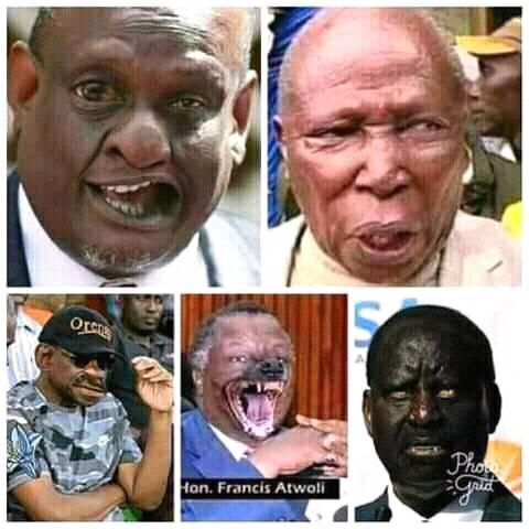 KangeJeni's tweet photo. #ODMMuoshoMmoja #RailaMuoshoMmoja they are funny creatures,must be deported. https://t.co/Zn1v7BxqMR
