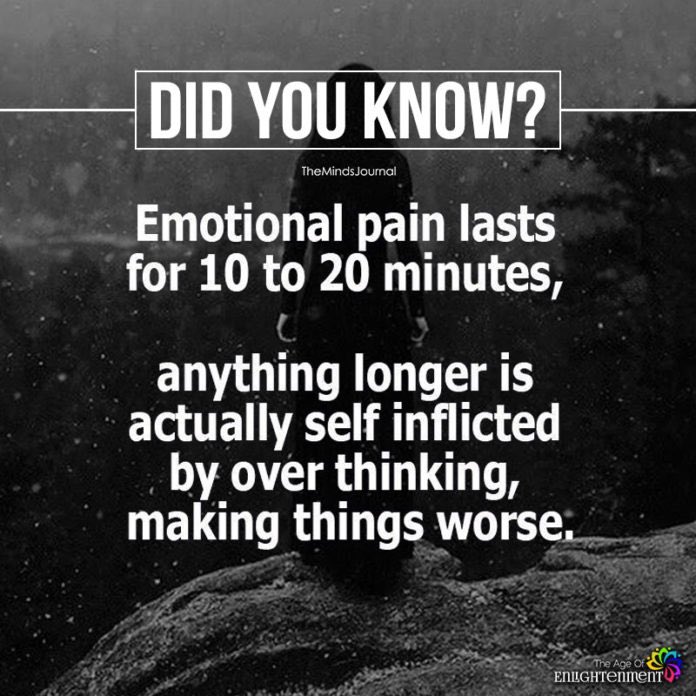 NJPeerRecovery tweet picture