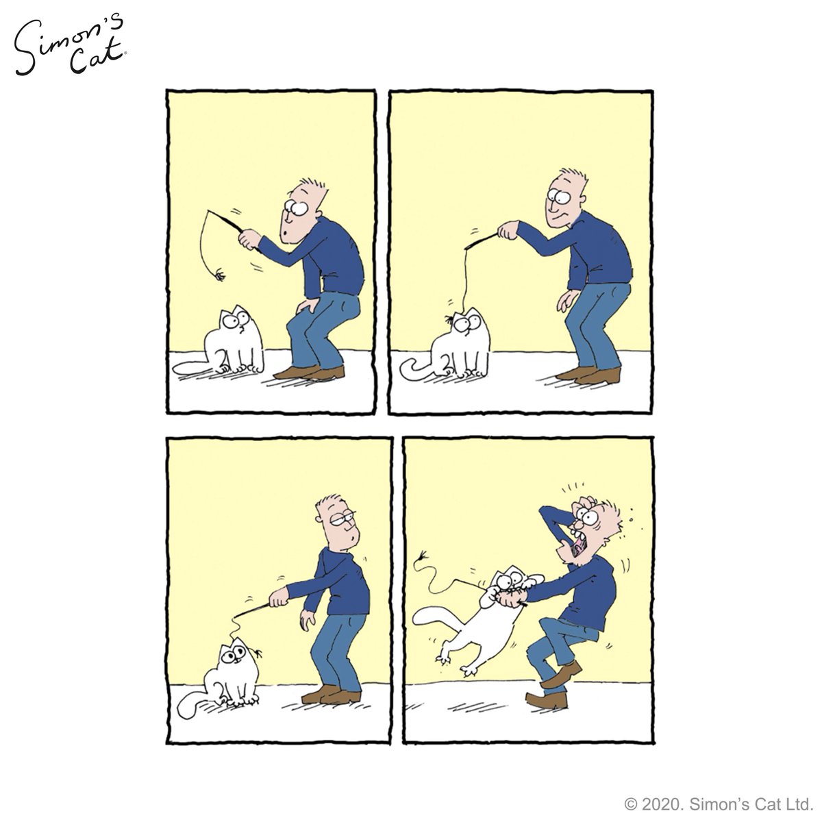 SimonsCat's tweet photo. He attack....😬😺 Who has a bitey cat?! https://t.co/ghan69oq1e