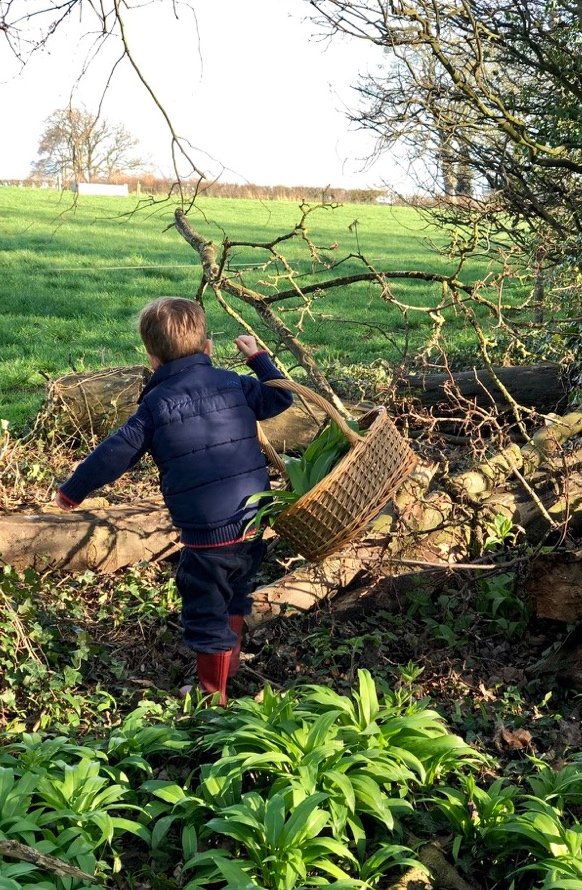 Is it time to grab that basket..... is Wild Garlic out where you are? 

Chef <a href="/TimMaddams/">Tim Maddams</a> has given his top tips and inspiration for the wild garlic season

Fresh air, wild produce and sunshine - simple pleasures in a world being turned upside down right now. 

Enjoy xx