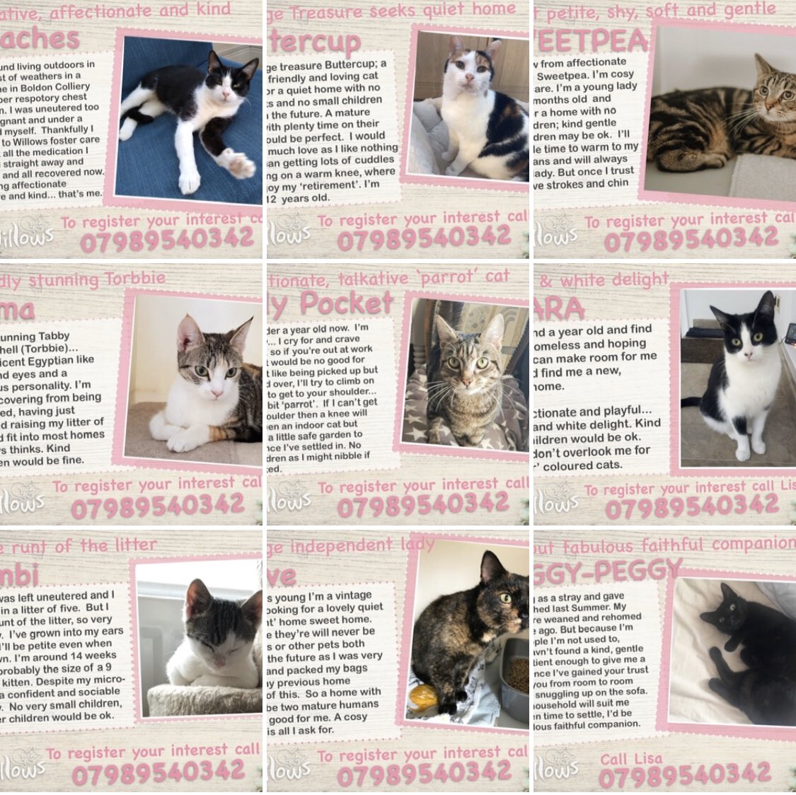 💖 Here come the girls... facebook.com/49376600738892…