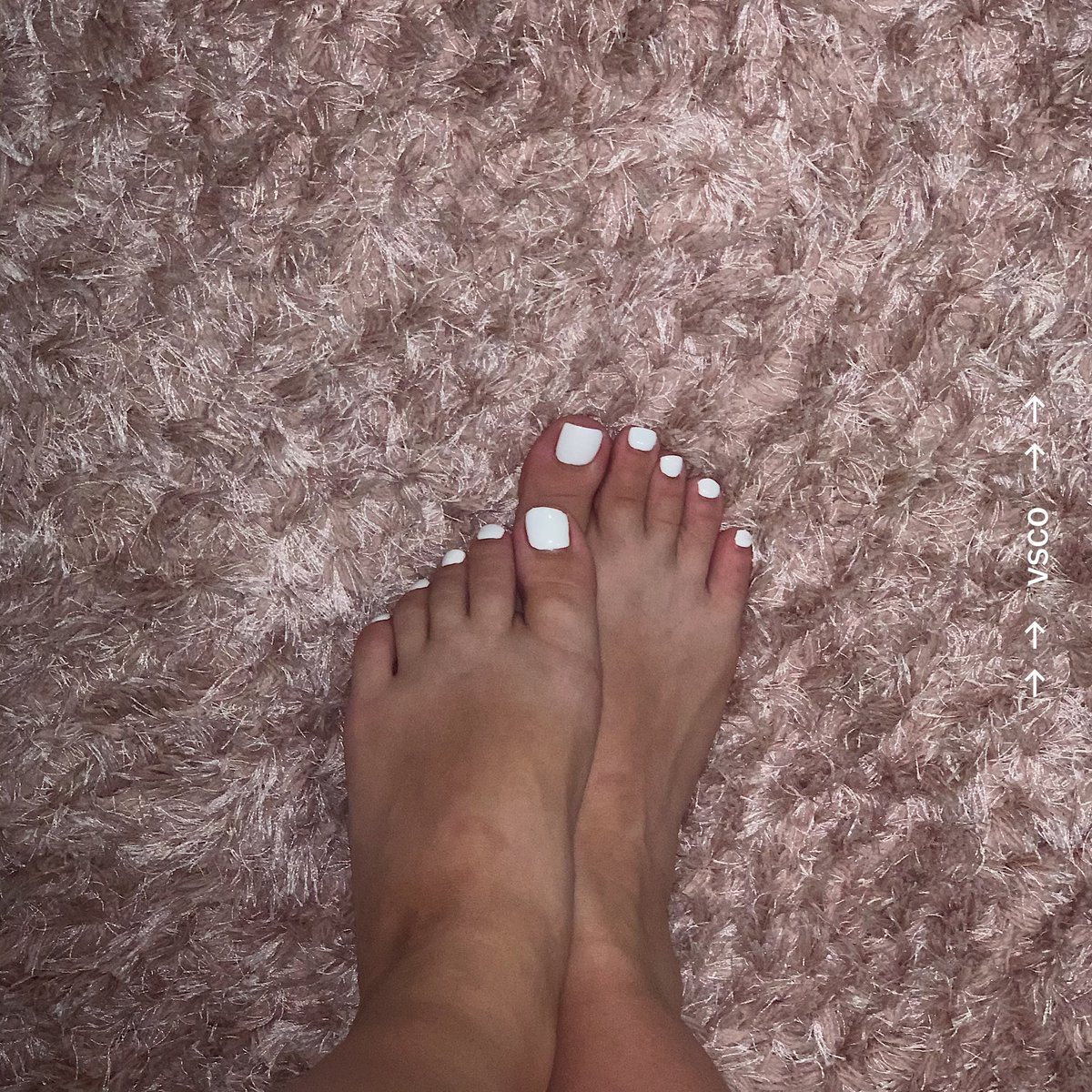 AvaLouella's tweet photo. bit of a preview for you all 💋 #footpic #footfetısh #feet #feetbuyers #feetpicturesforsale #australianfeet https://t.co/DYOiCcE9ri