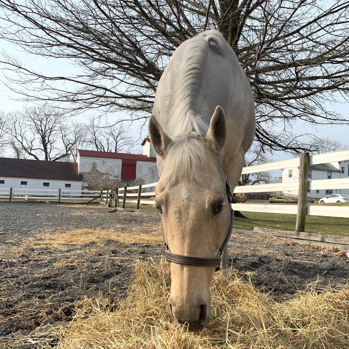 Good morning from Oro!